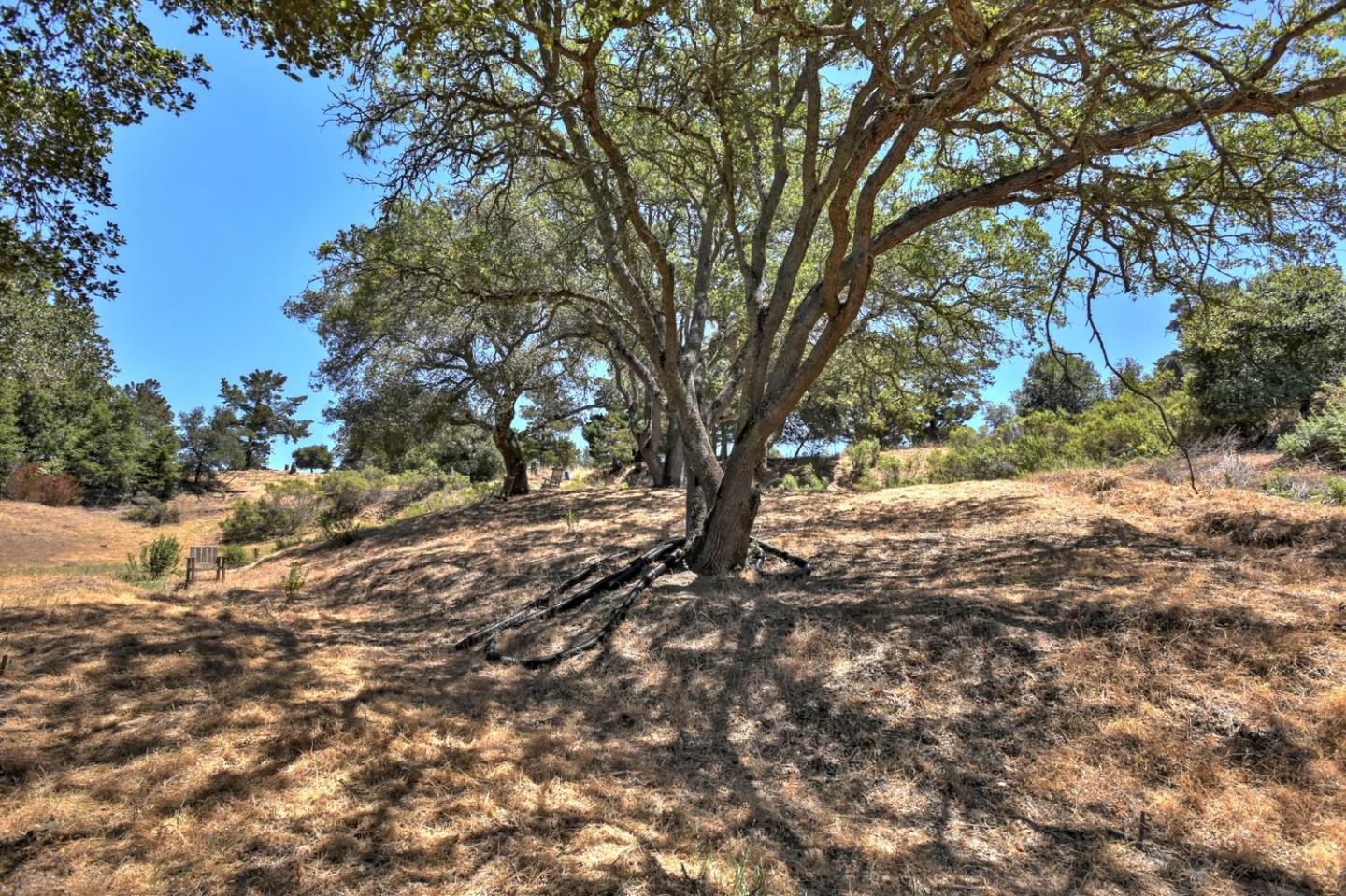 16084 Greenridge Terrace, LOS GATOS, California 95032, ,Lots And Land,For Sale,Greenridge Terrace,40967353