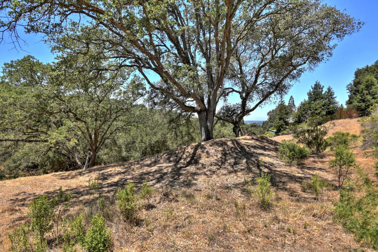 16084 Greenridge Terrace, LOS GATOS, California 95032, ,Lots And Land,For Sale,Greenridge Terrace,40967353