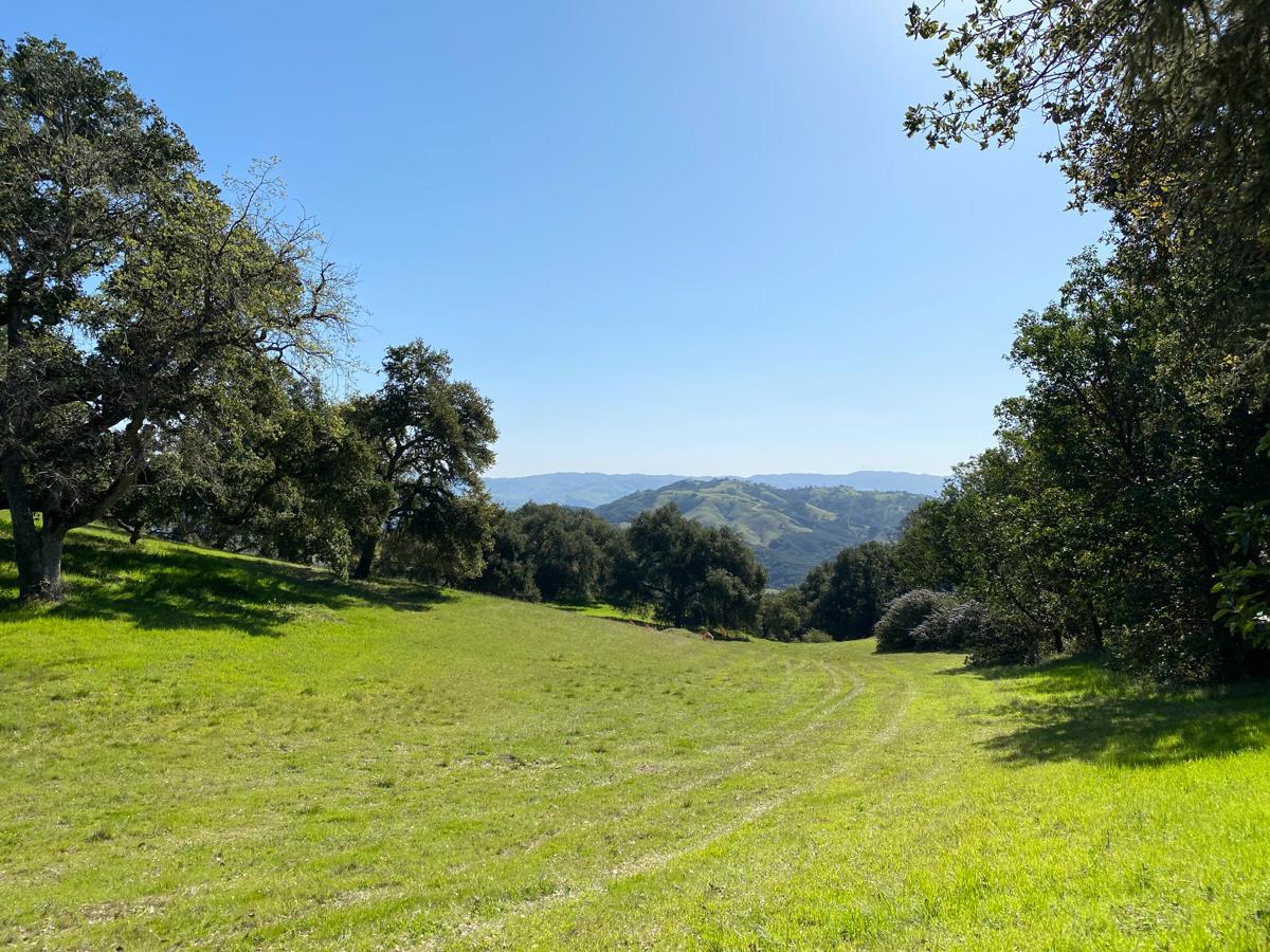 62 Chamisal Pass, CARMEL, California 93923, ,Lots And Land,For Sale,Chamisal Pass,40963688