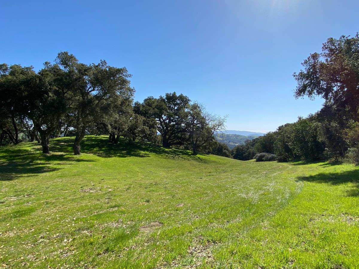 62 Chamisal Pass, CARMEL, California 93923, ,Lots And Land,For Sale,Chamisal Pass,40963688