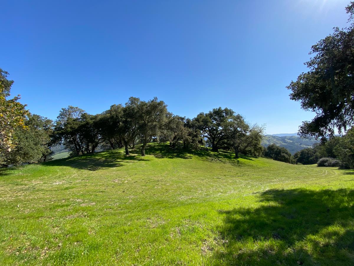 62 Chamisal Pass, CARMEL, California 93923, ,Lots And Land,For Sale,Chamisal Pass,40963688