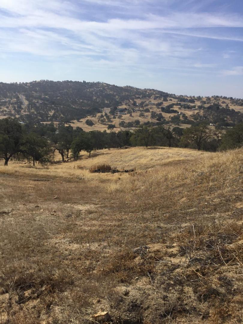 33906 Bronco Lane, SQUAW VALLEY, California 93675, ,Lots And Land,For Sale,Bronco Lane,40963199