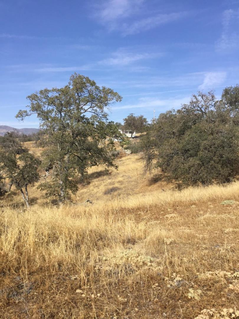 33906 Bronco Lane, SQUAW VALLEY, California 93675, ,Lots And Land,For Sale,Bronco Lane,40963199