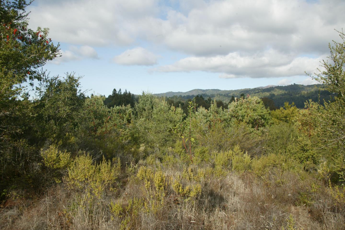 0 TELFORD, CORRALITOS (WATSONVILLE), California 95076, ,Lots And Land,For Sale,TELFORD,40967366
