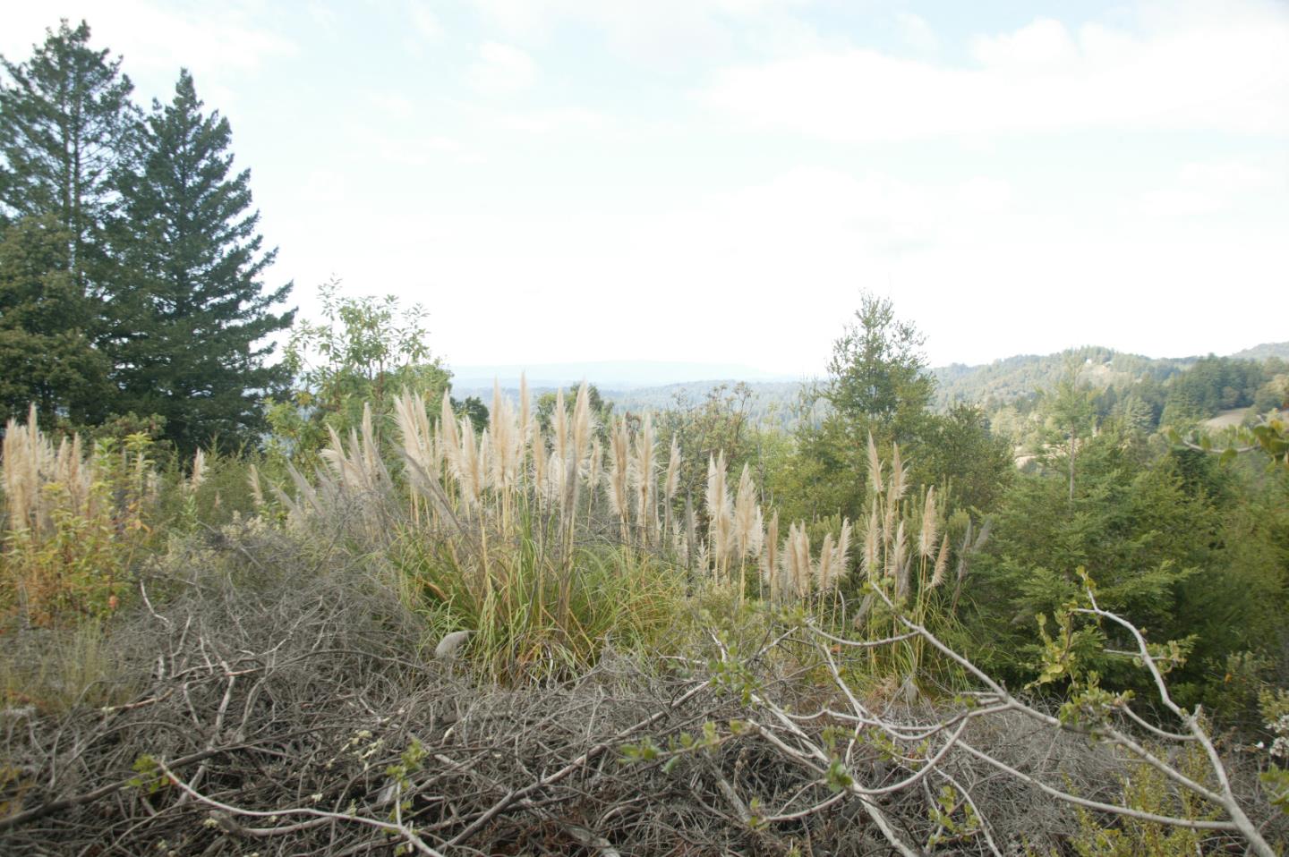 0 TELFORD, CORRALITOS (WATSONVILLE), California 95076, ,Lots And Land,For Sale,TELFORD,40967366