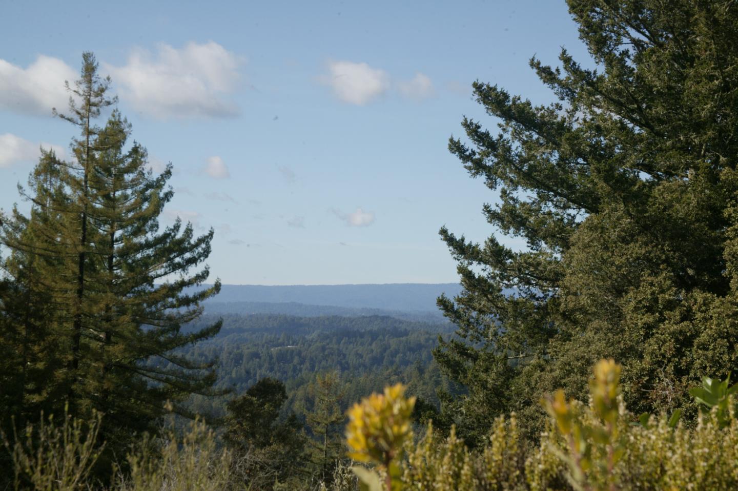 0 TELFORD, CORRALITOS (WATSONVILLE), California 95076, ,Lots And Land,For Sale,TELFORD,40967366