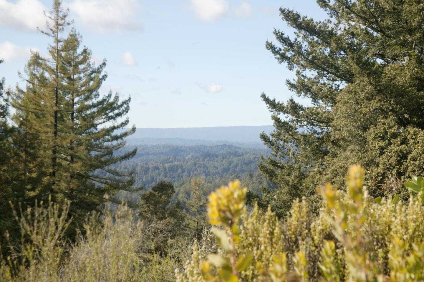 0 TELFORD, CORRALITOS (WATSONVILLE), California 95076, ,Lots And Land,For Sale,TELFORD,40967366