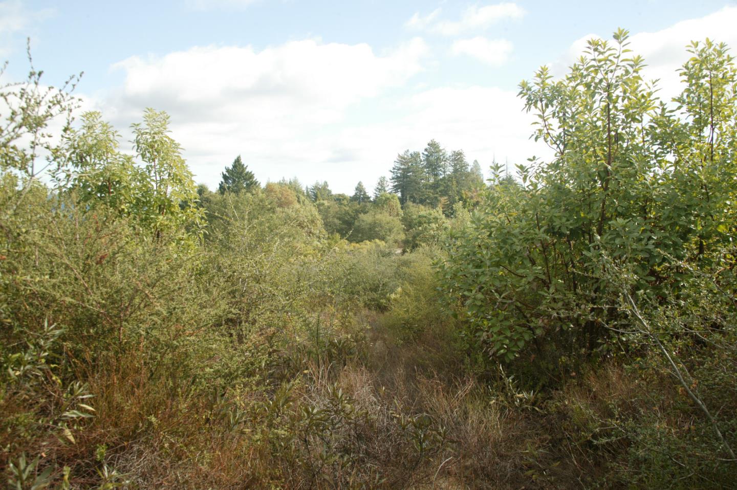 0 TELFORD, CORRALITOS (WATSONVILLE), California 95076, ,Lots And Land,For Sale,TELFORD,40967366