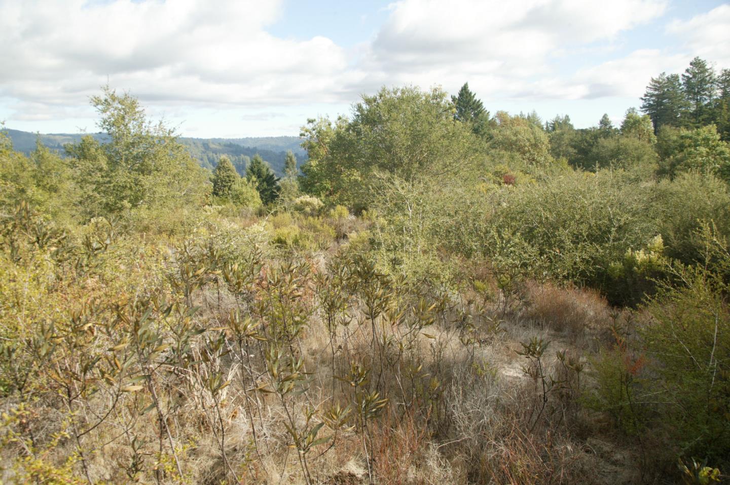 0 TELFORD, CORRALITOS (WATSONVILLE), California 95076, ,Lots And Land,For Sale,TELFORD,40967366