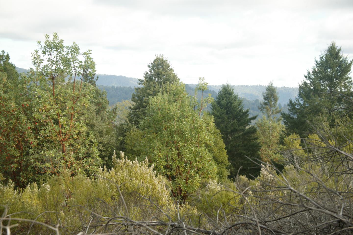 0 TELFORD, CORRALITOS (WATSONVILLE), California 95076, ,Lots And Land,For Sale,TELFORD,40967366