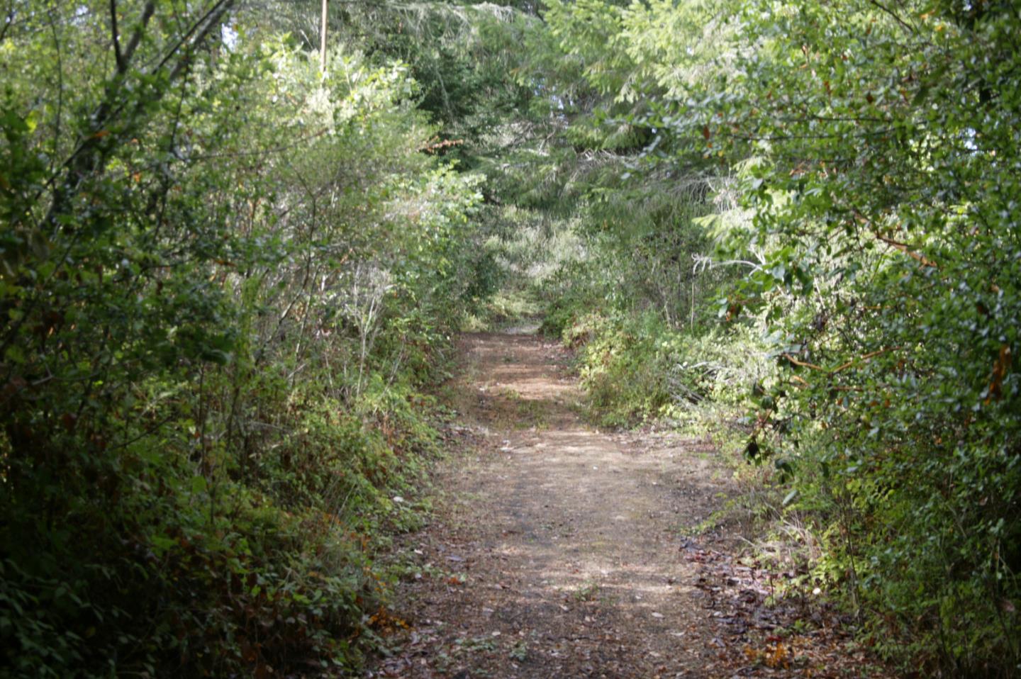 0 TELFORD, CORRALITOS (WATSONVILLE), California 95076, ,Lots And Land,For Sale,TELFORD,40967366