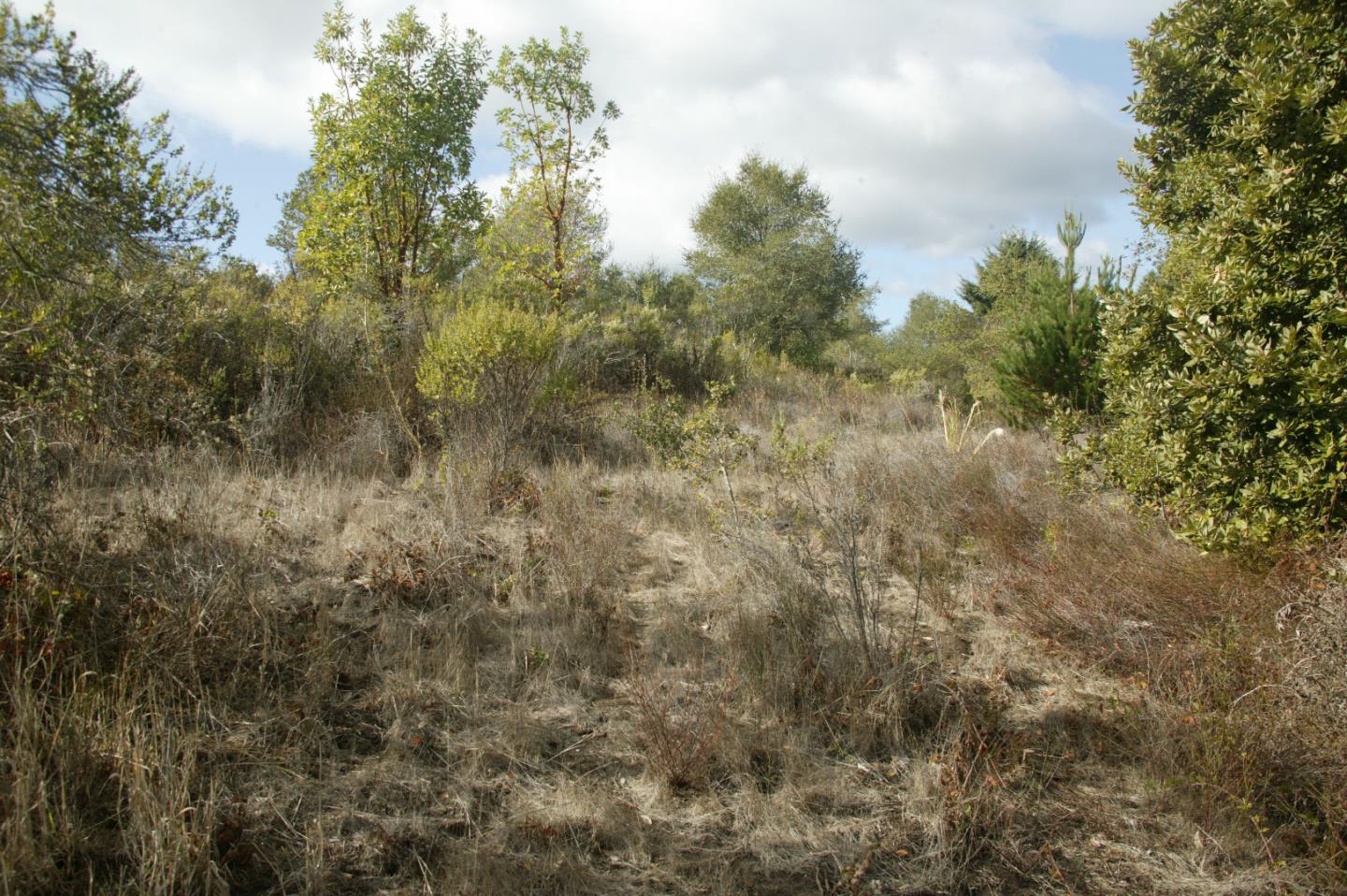 0 TELFORD, CORRALITOS (WATSONVILLE), California 95076, ,Lots And Land,For Sale,TELFORD,40967366