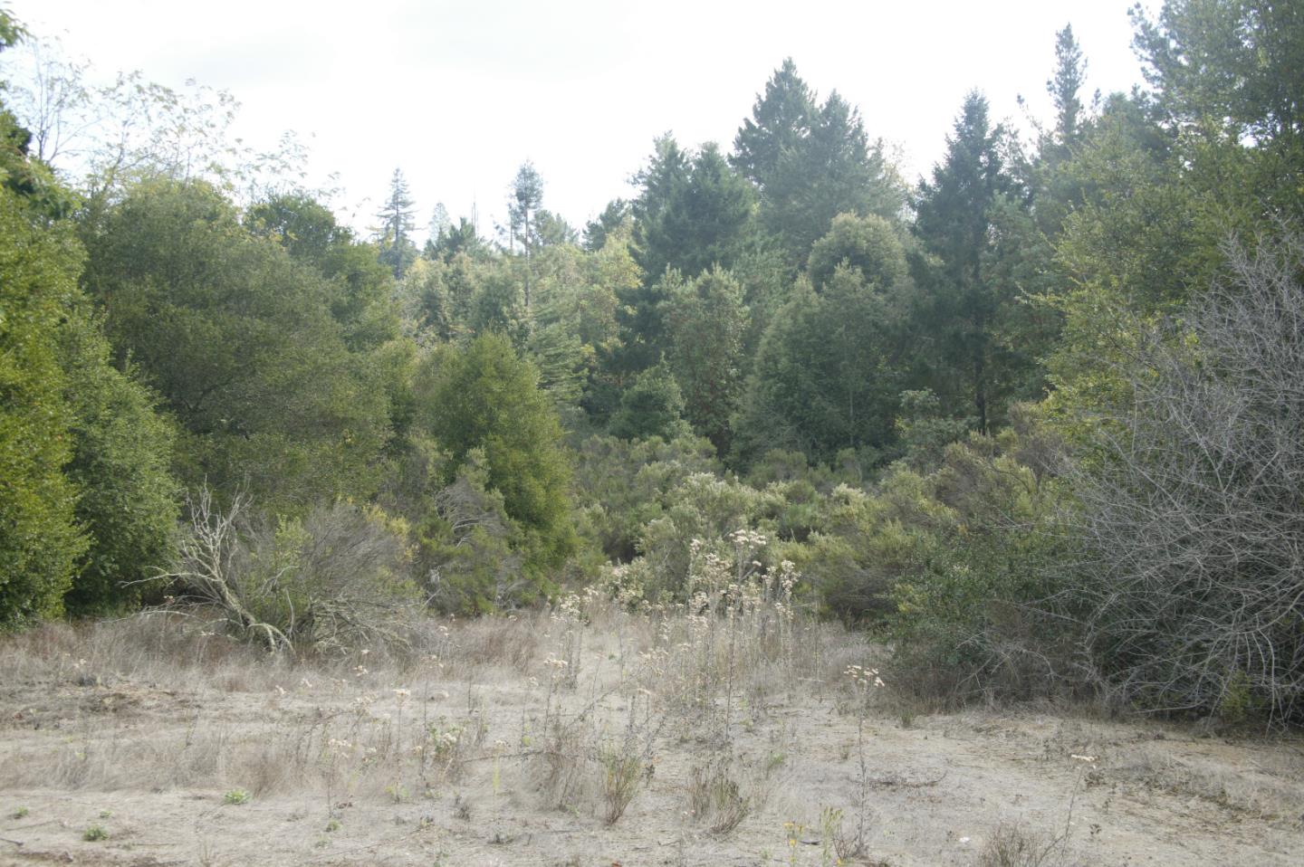0 TELFORD, CORRALITOS (WATSONVILLE), California 95076, ,Lots And Land,For Sale,TELFORD,40967366