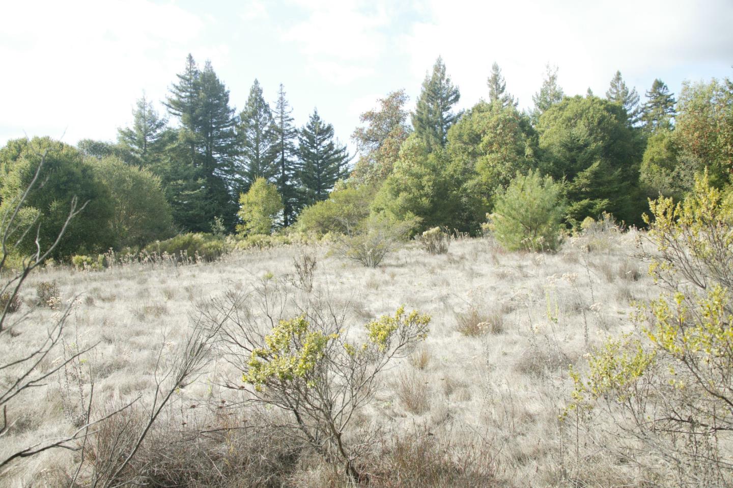 0 TELFORD, CORRALITOS (WATSONVILLE), California 95076, ,Lots And Land,For Sale,TELFORD,40967366