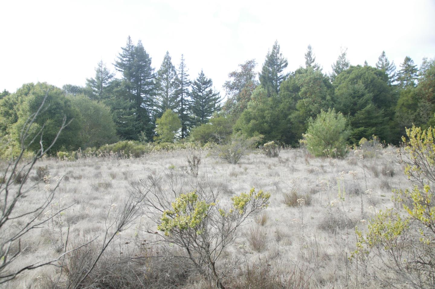0 TELFORD, CORRALITOS (WATSONVILLE), California 95076, ,Lots And Land,For Sale,TELFORD,40967366