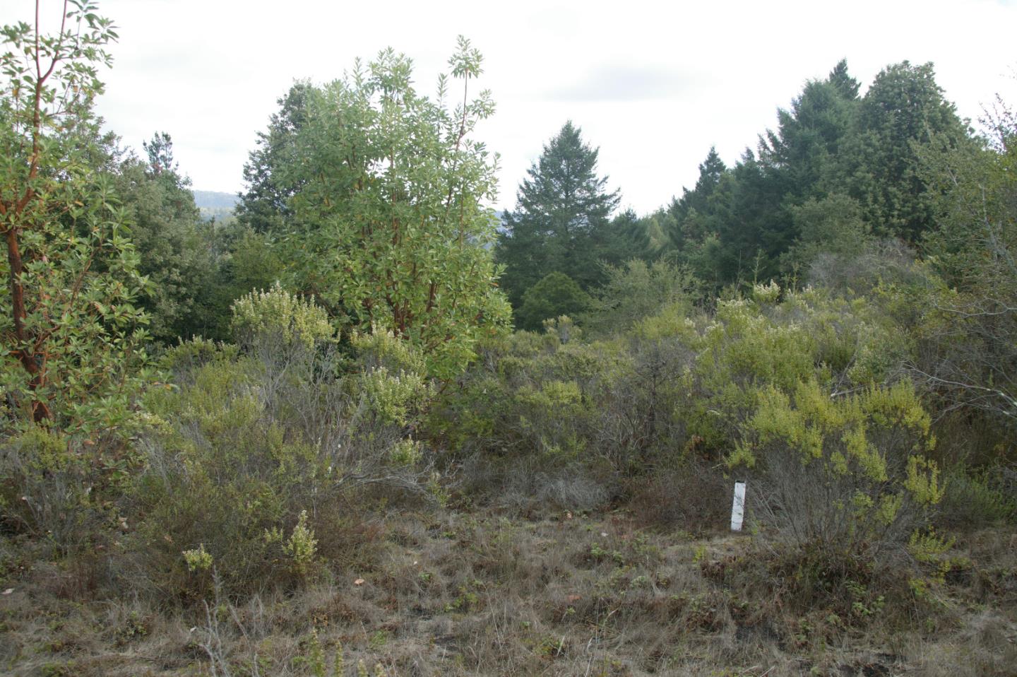 0 TELFORD, CORRALITOS (WATSONVILLE), California 95076, ,Lots And Land,For Sale,TELFORD,40967366