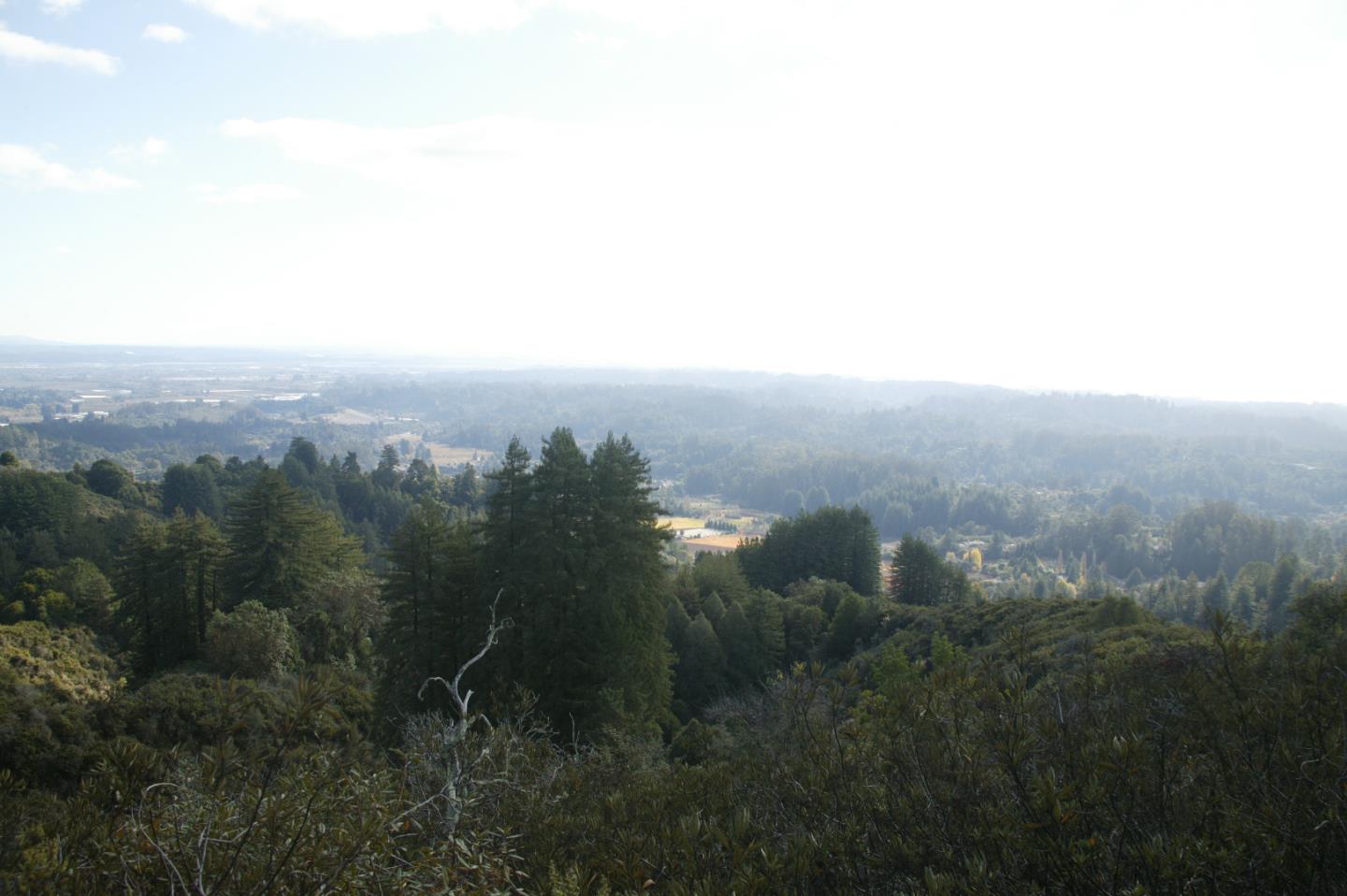 0 TELFORD, CORRALITOS (WATSONVILLE), California 95076, ,Lots And Land,For Sale,TELFORD,40967366