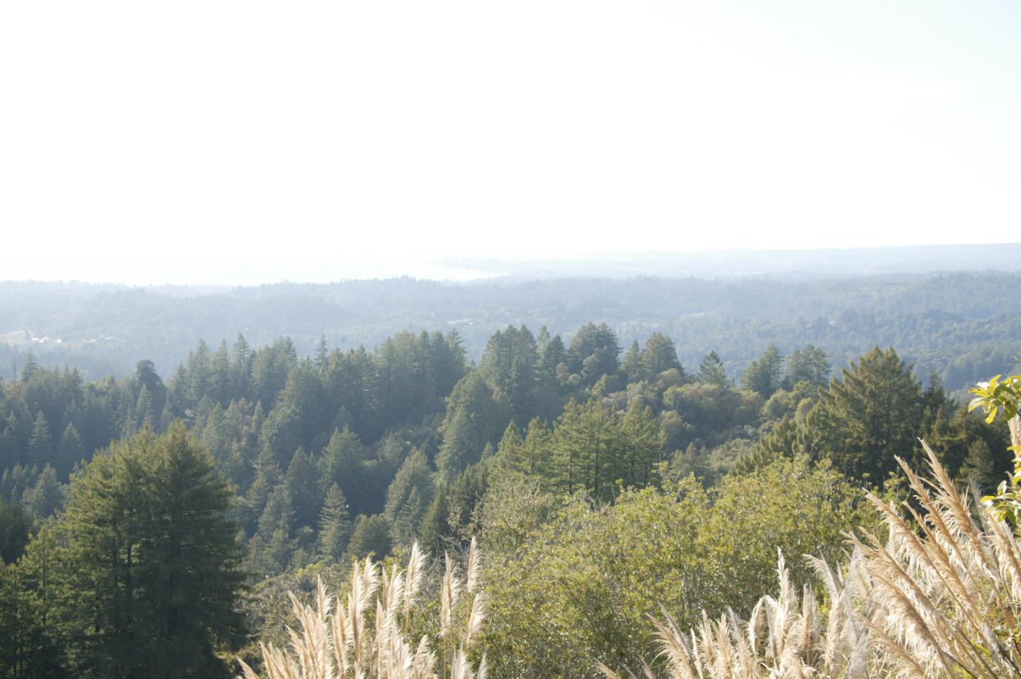 0 TELFORD, CORRALITOS (WATSONVILLE), California 95076, ,Lots And Land,For Sale,TELFORD,40967366