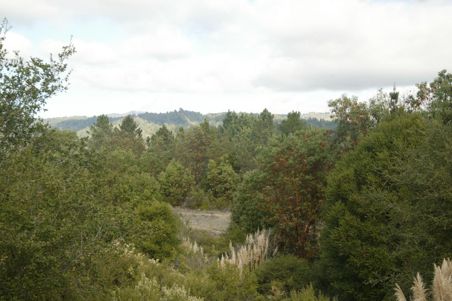 0 TELFORD, CORRALITOS (WATSONVILLE), California 95076, ,Lots And Land,For Sale,TELFORD,40967366