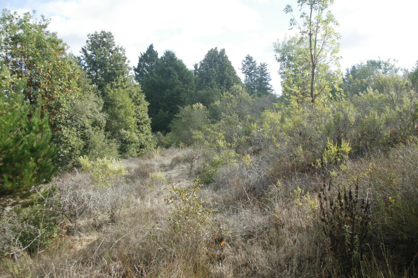 0 TELFORD, CORRALITOS (WATSONVILLE), California 95076, ,Lots And Land,For Sale,TELFORD,40967366