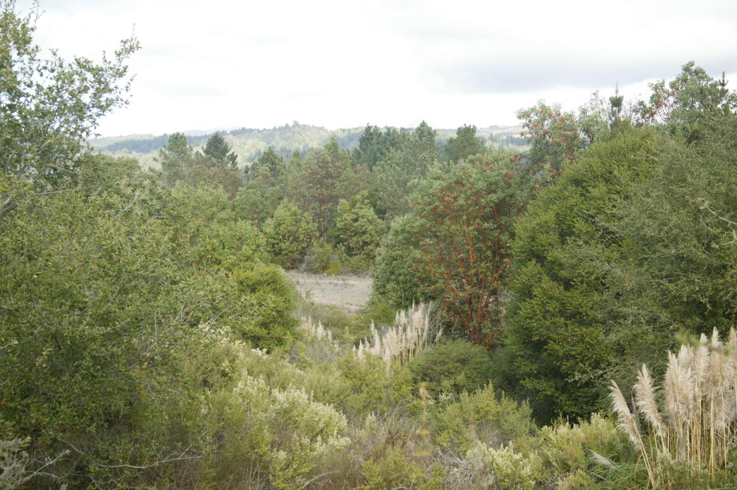 0 TELFORD, CORRALITOS (WATSONVILLE), California 95076, ,Lots And Land,For Sale,TELFORD,40967366