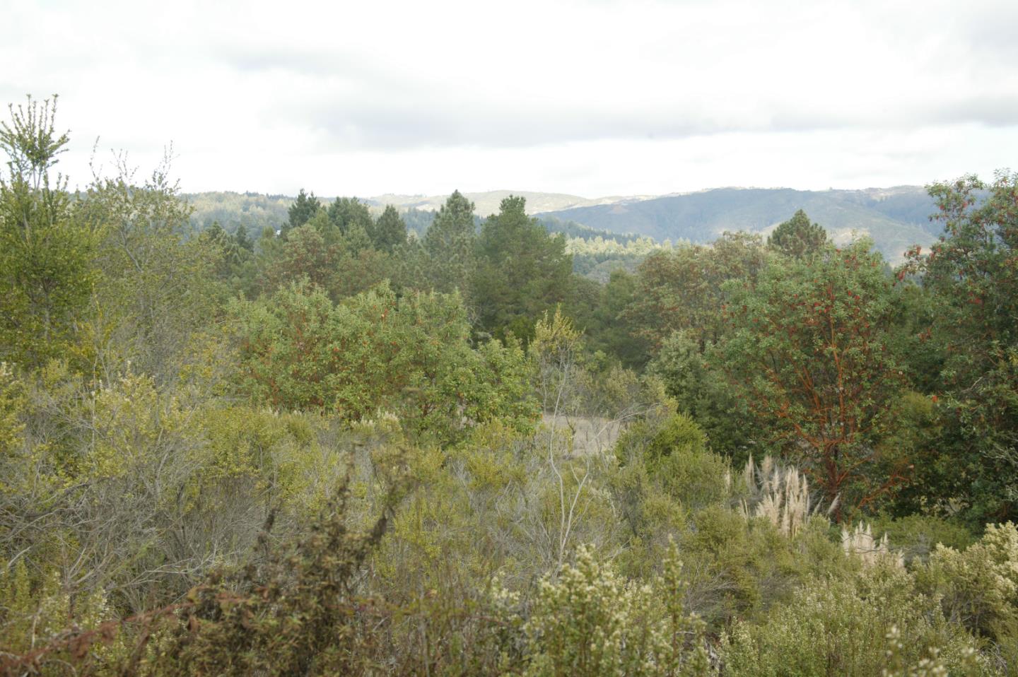 0 TELFORD, CORRALITOS (WATSONVILLE), California 95076, ,Lots And Land,For Sale,TELFORD,40967366