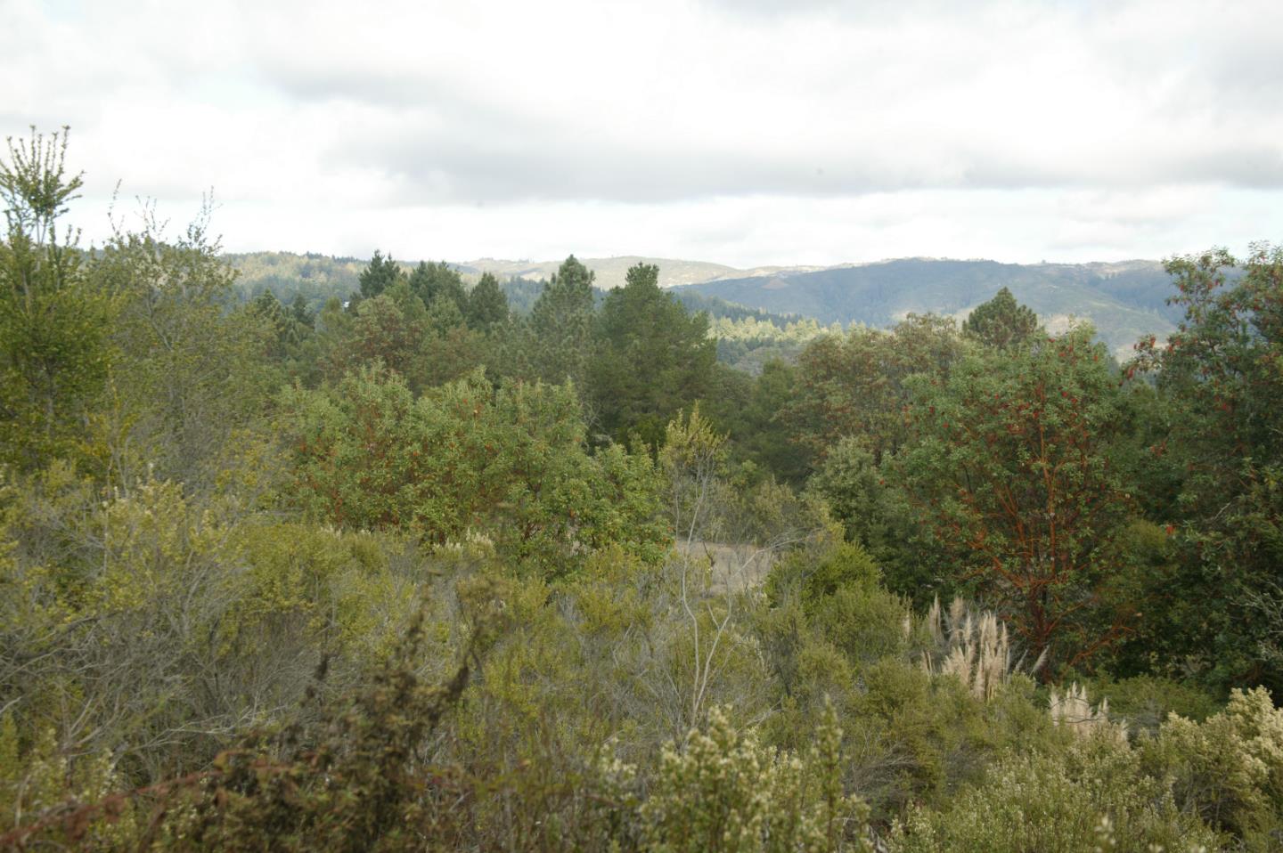 0 TELFORD, CORRALITOS (WATSONVILLE), California 95076, ,Lots And Land,For Sale,TELFORD,40967366
