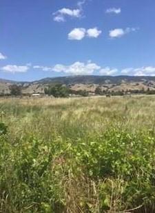 000 Center Avenue, SAN MARTIN, California 95046, ,Lots And Land,For Sale,Center Avenue,40967367