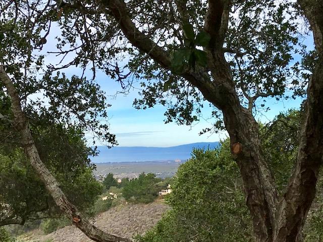 25900 Enclave Court, MONTEREY, California 93940, ,Lots And Land,For Sale,Enclave Court,40963636