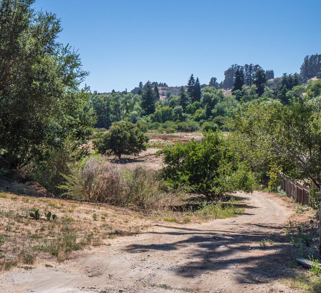 104-191-08 Cherryvale Avenue, SOQUEL, California 95073, ,Lots And Land,For Sale,Cherryvale Avenue,40962196
