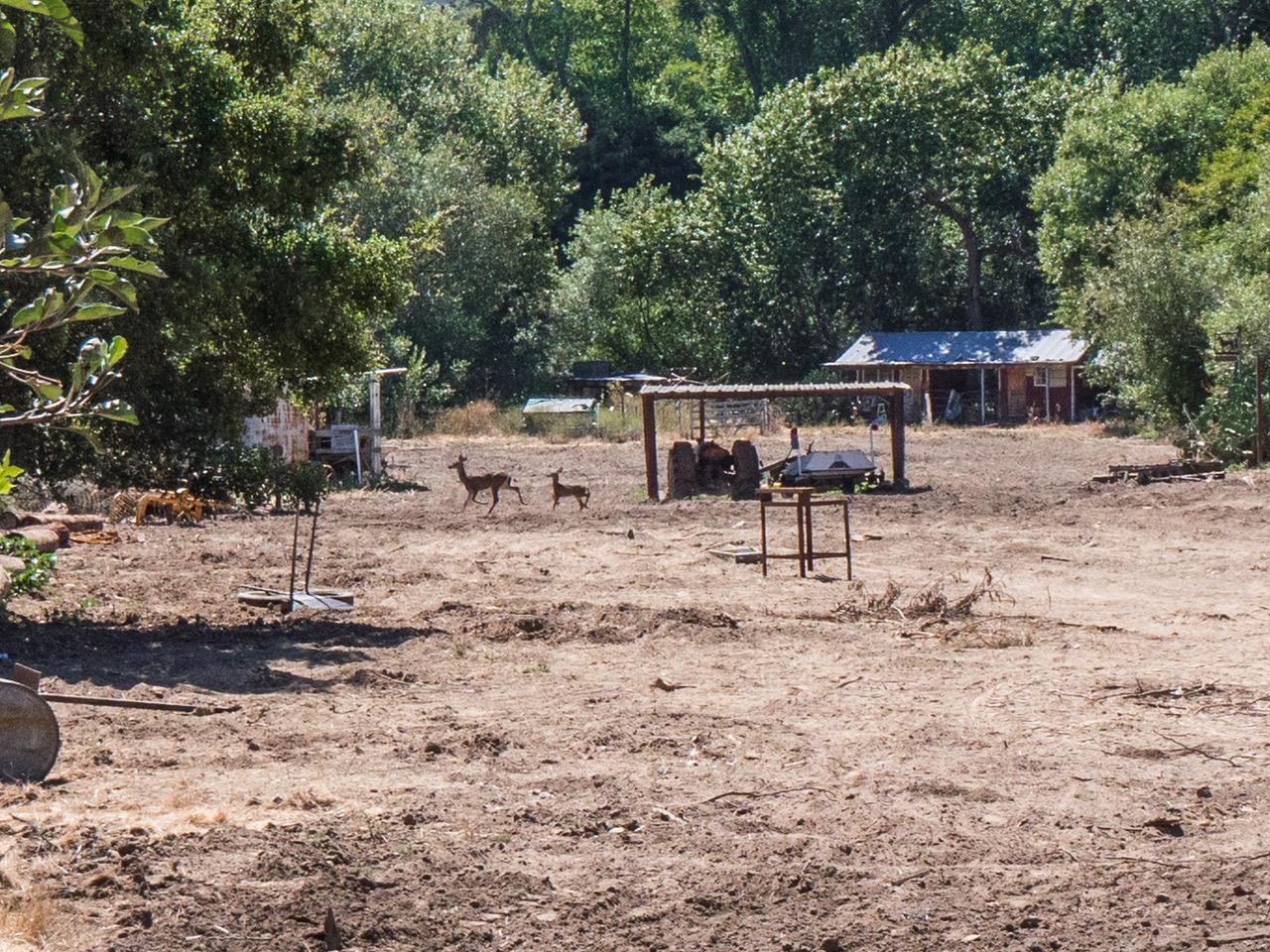 104-191-08 Cherryvale Avenue, SOQUEL, California 95073, ,Lots And Land,For Sale,Cherryvale Avenue,40962196