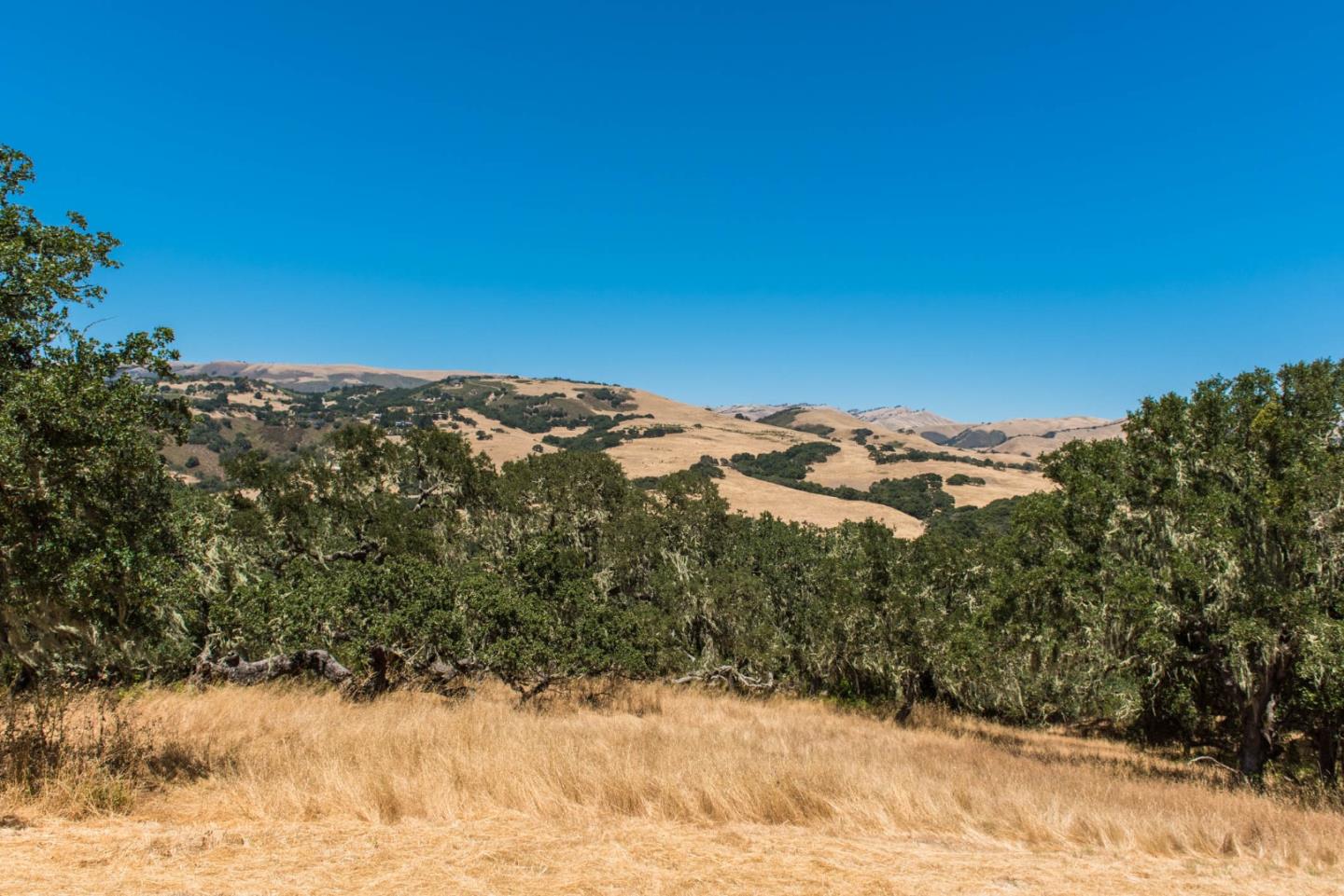 16 Sleepy Hollow Drive, CARMEL VALLEY, California 93924, ,Lots And Land,For Sale,Sleepy Hollow Drive,40961919