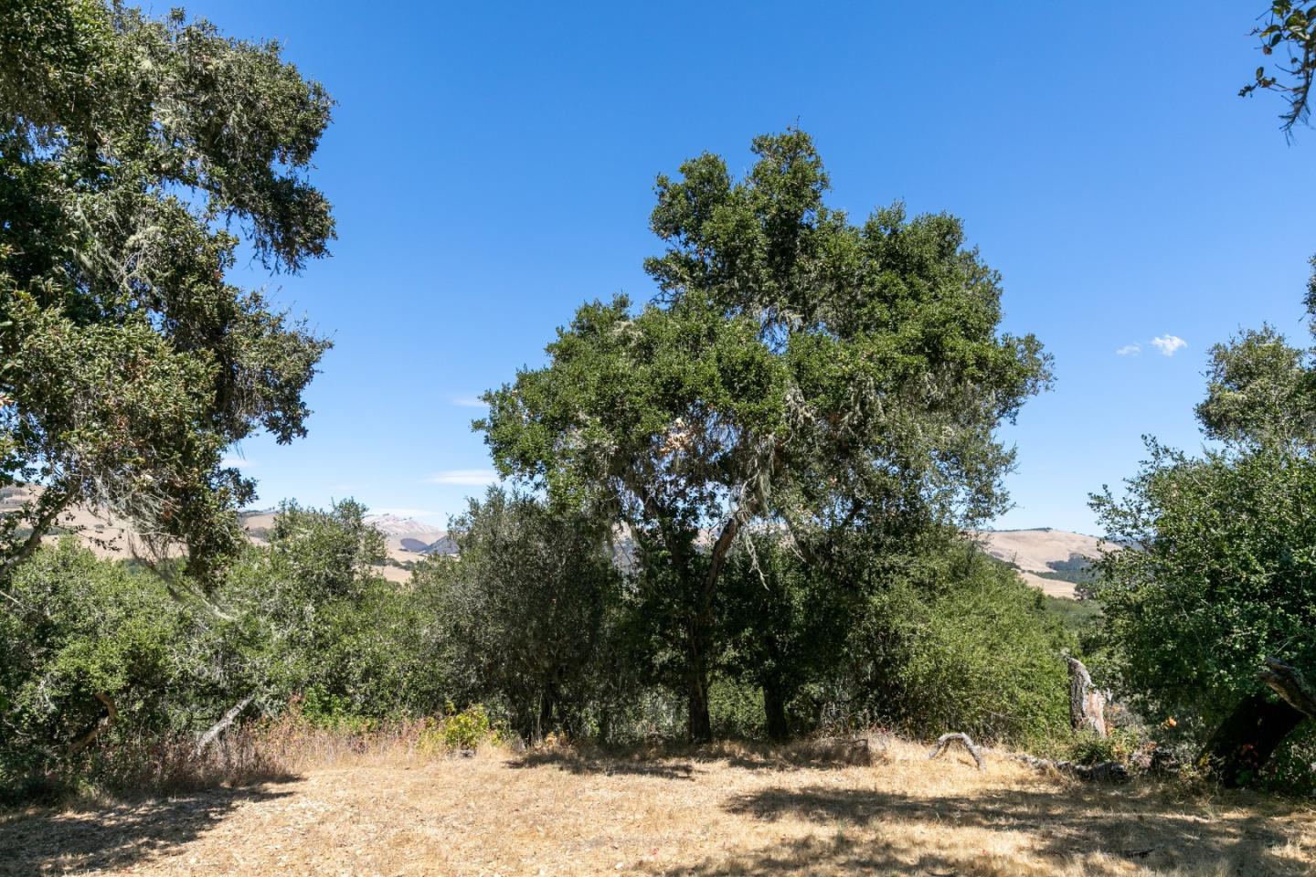 16 Sleepy Hollow Drive, CARMEL VALLEY, California 93924, ,Lots And Land,For Sale,Sleepy Hollow Drive,40961919