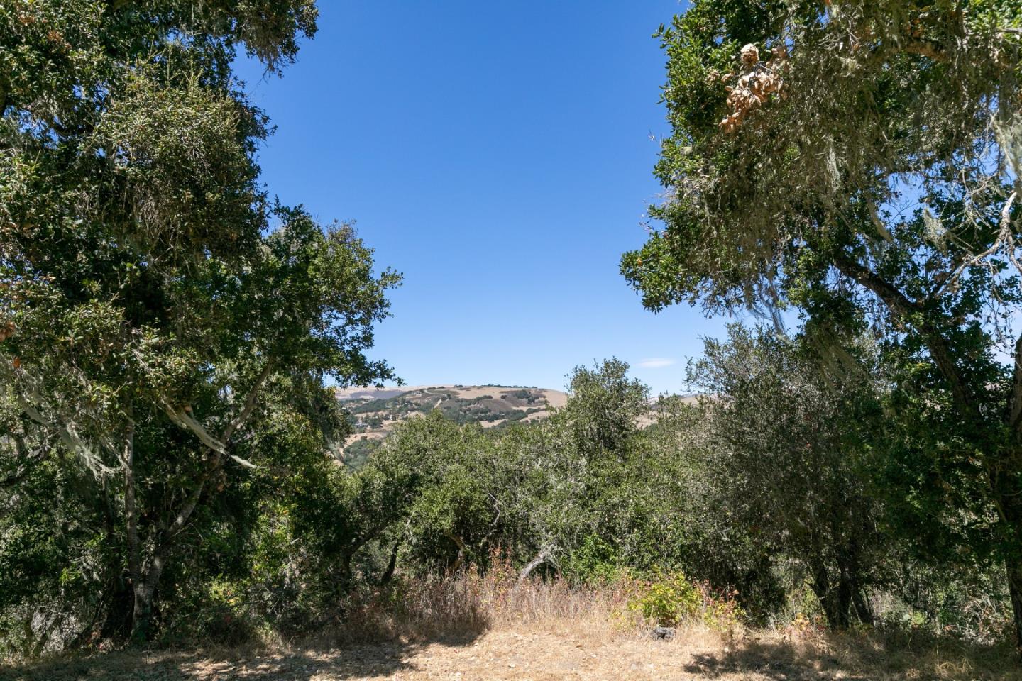 16 Sleepy Hollow Drive, CARMEL VALLEY, California 93924, ,Lots And Land,For Sale,Sleepy Hollow Drive,40961919