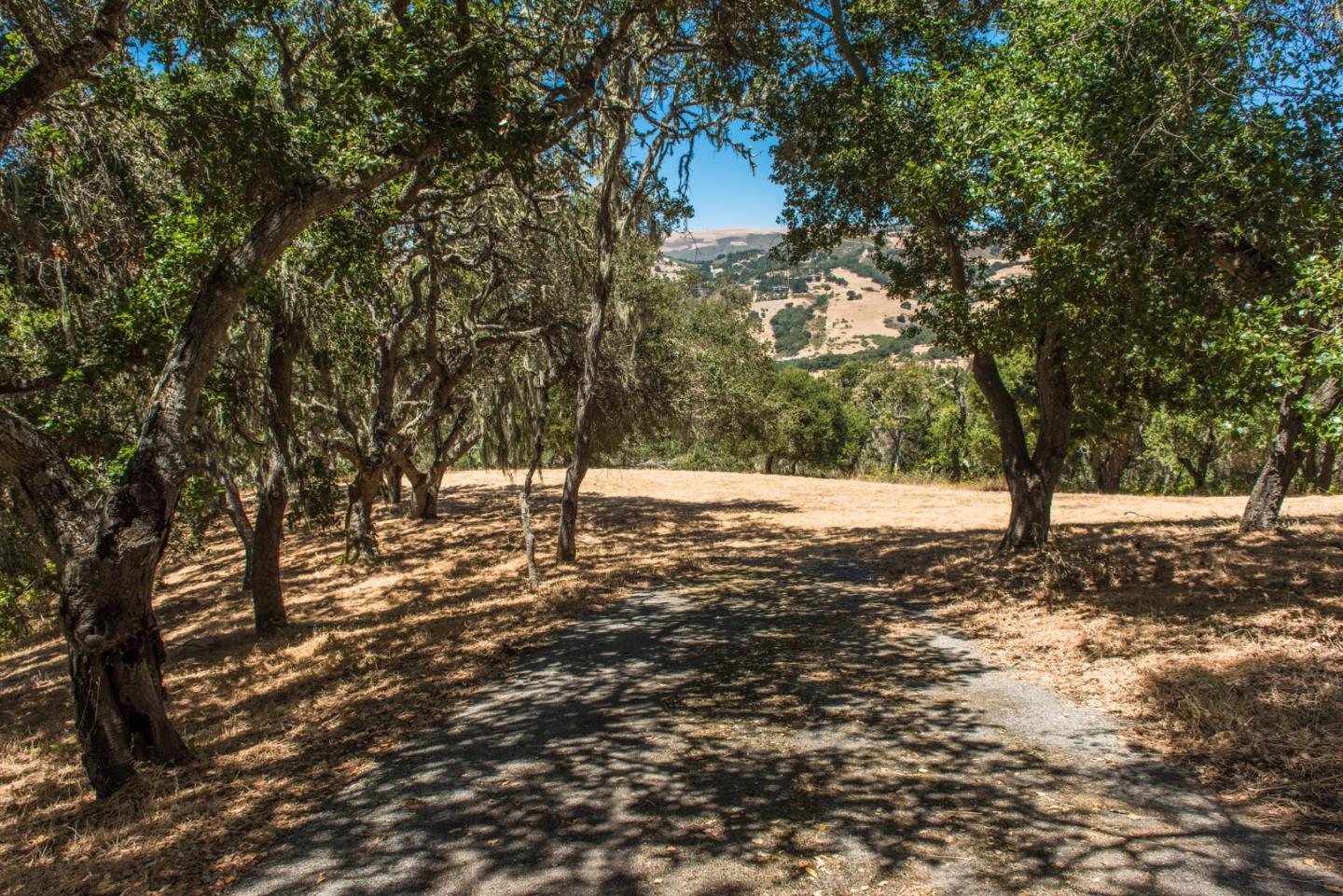 16 Sleepy Hollow Drive, CARMEL VALLEY, California 93924, ,Lots And Land,For Sale,Sleepy Hollow Drive,40961919