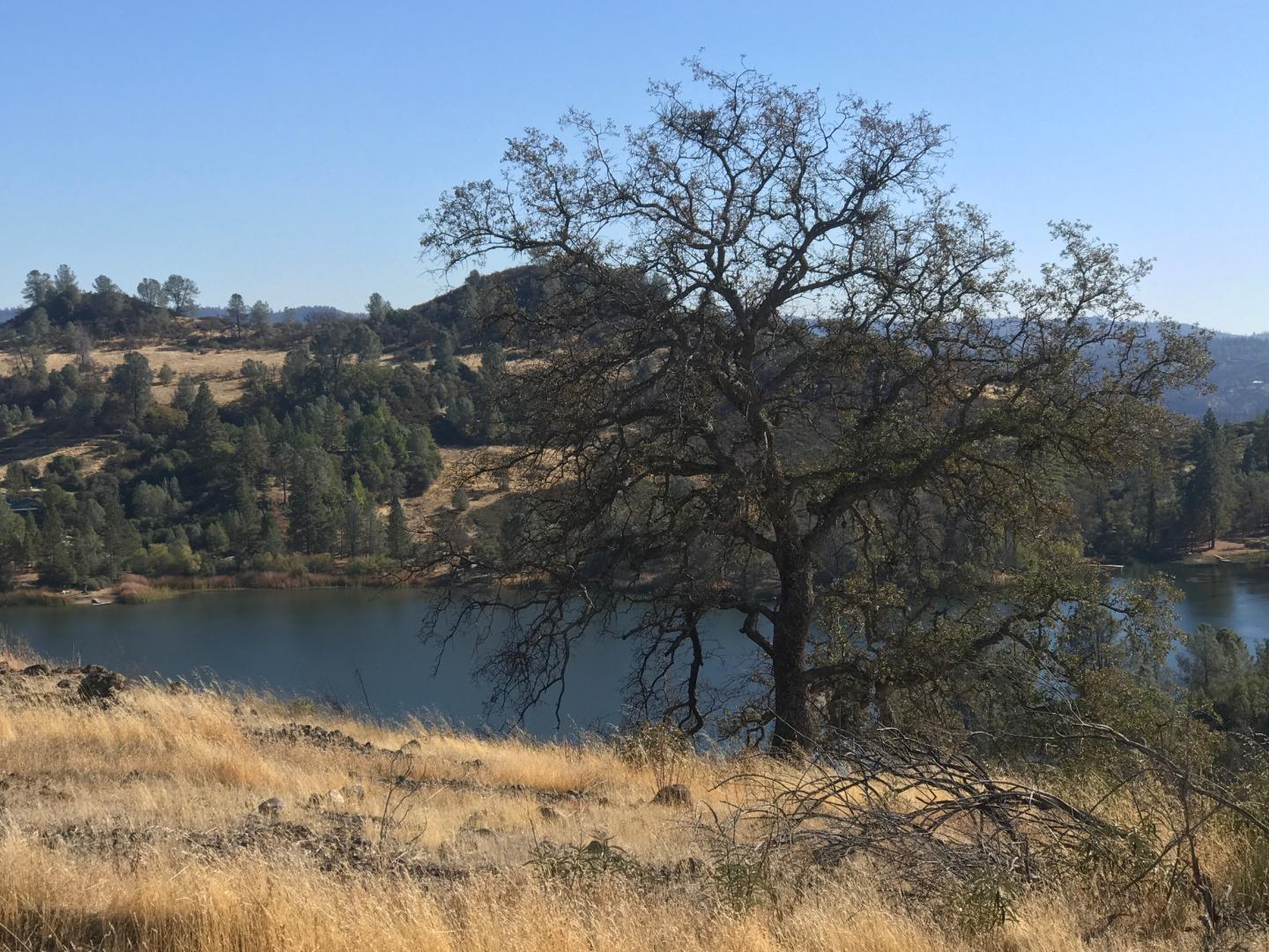 6930 Eagle View Drive, MOUNTAIN RANCH, California 95246, ,Lots And Land,For Sale,Eagle View Drive,40967370