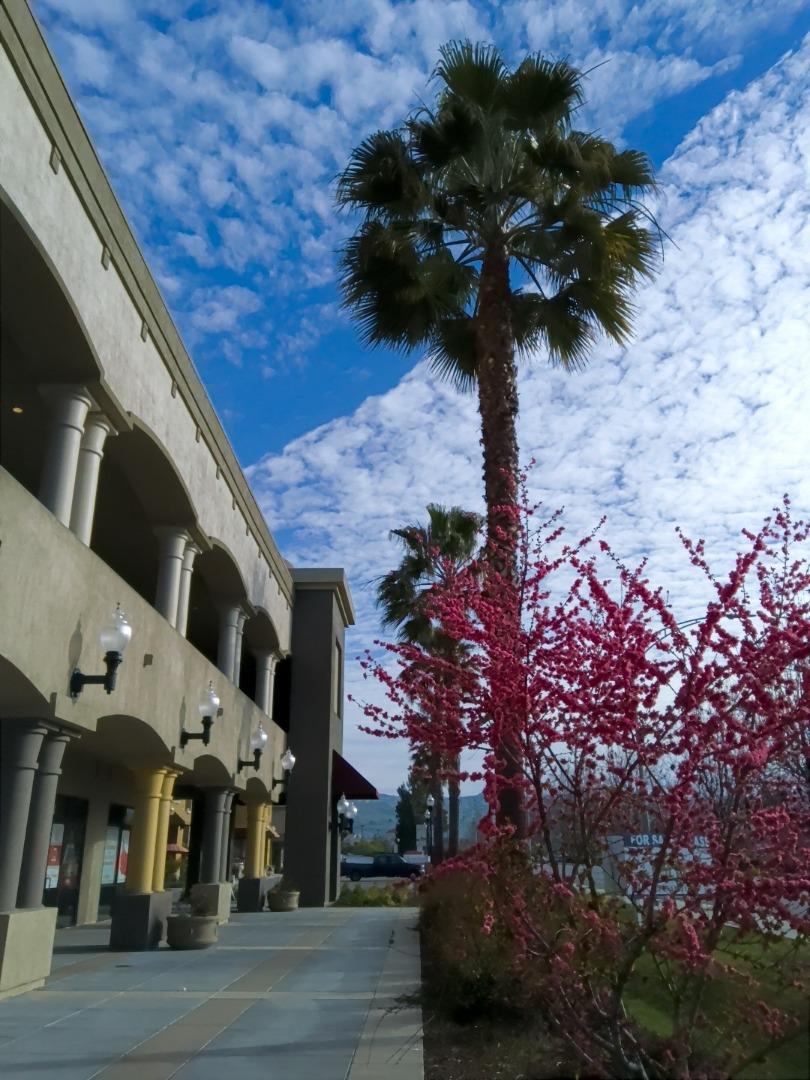 909 Story Road, SAN JOSE, California 95122, ,Comm Industrial For Sale,For Sale,Story Road,40965423