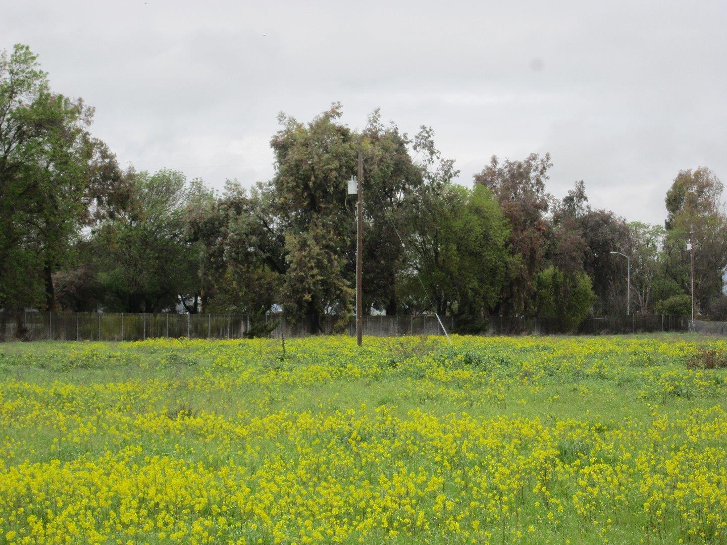 90 Fallon Road, HOLLISTER, California 95023, ,Comm Lots And Land,For Sale,Fallon Road,40964876
