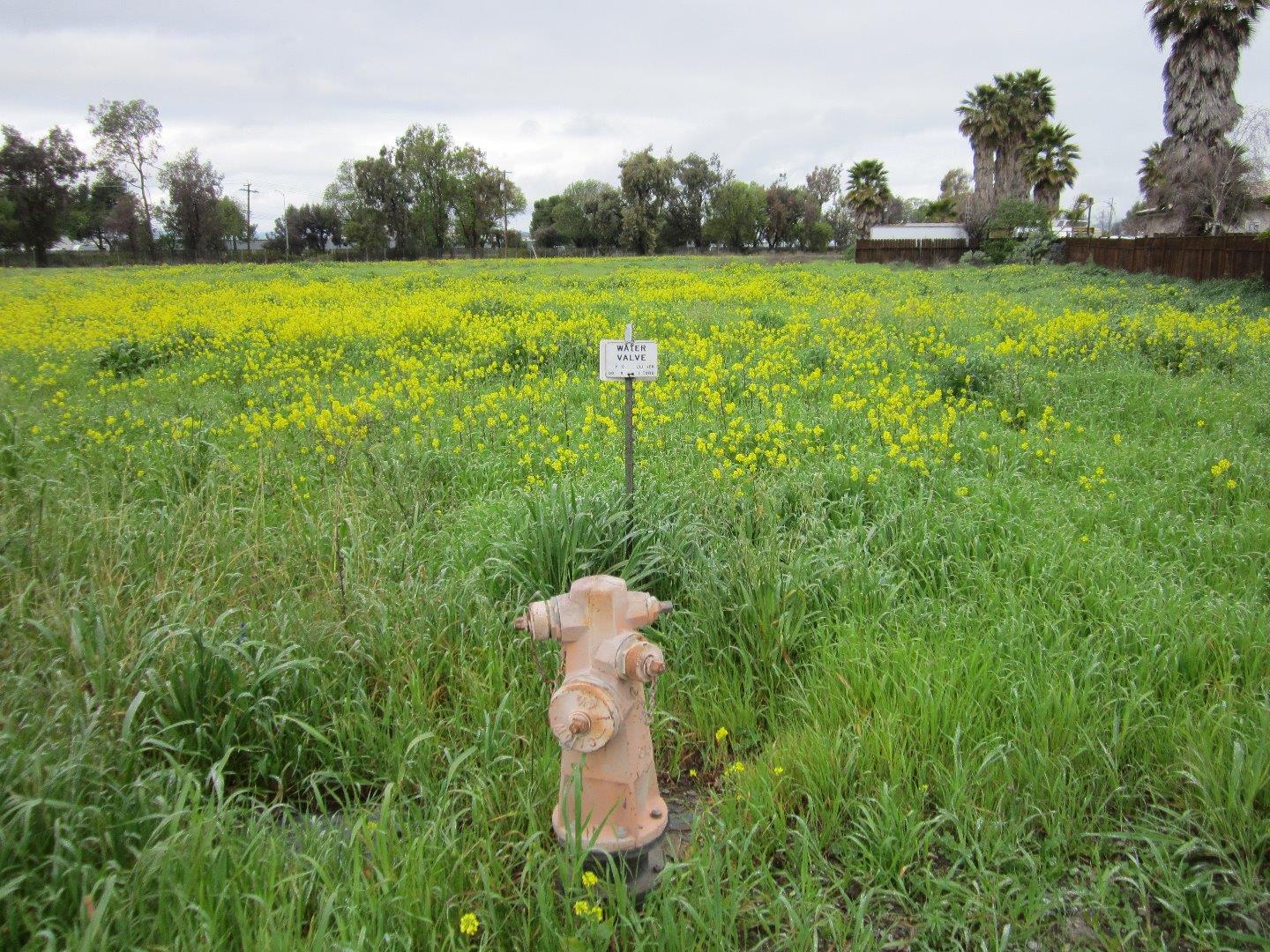 90 Fallon Road, HOLLISTER, California 95023, ,Comm Lots And Land,For Sale,Fallon Road,40964876