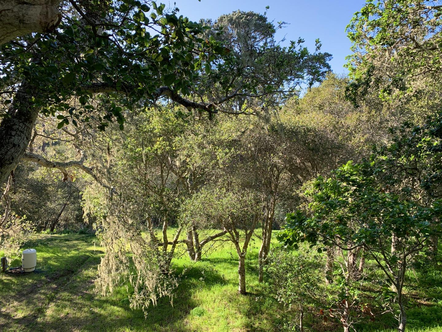 25498 Hatton Road, CARMEL, California 93923, ,Lots And Land,For Sale,Hatton Road,40963972