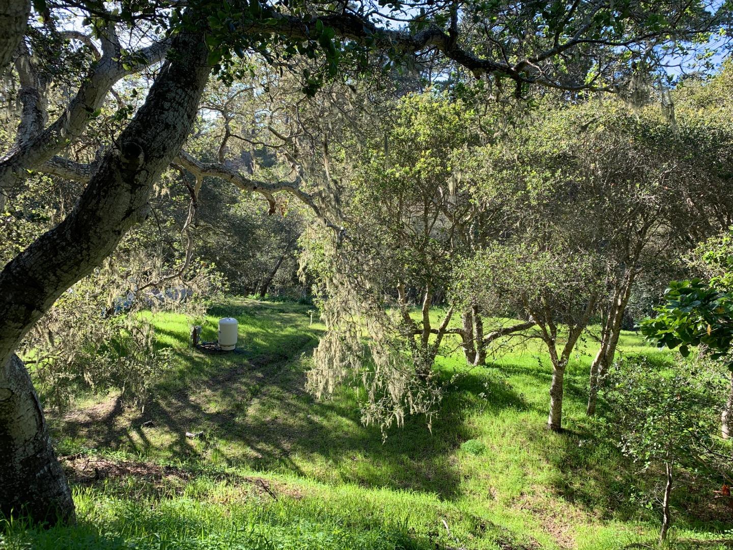 25498 Hatton Road, CARMEL, California 93923, ,Lots And Land,For Sale,Hatton Road,40963972
