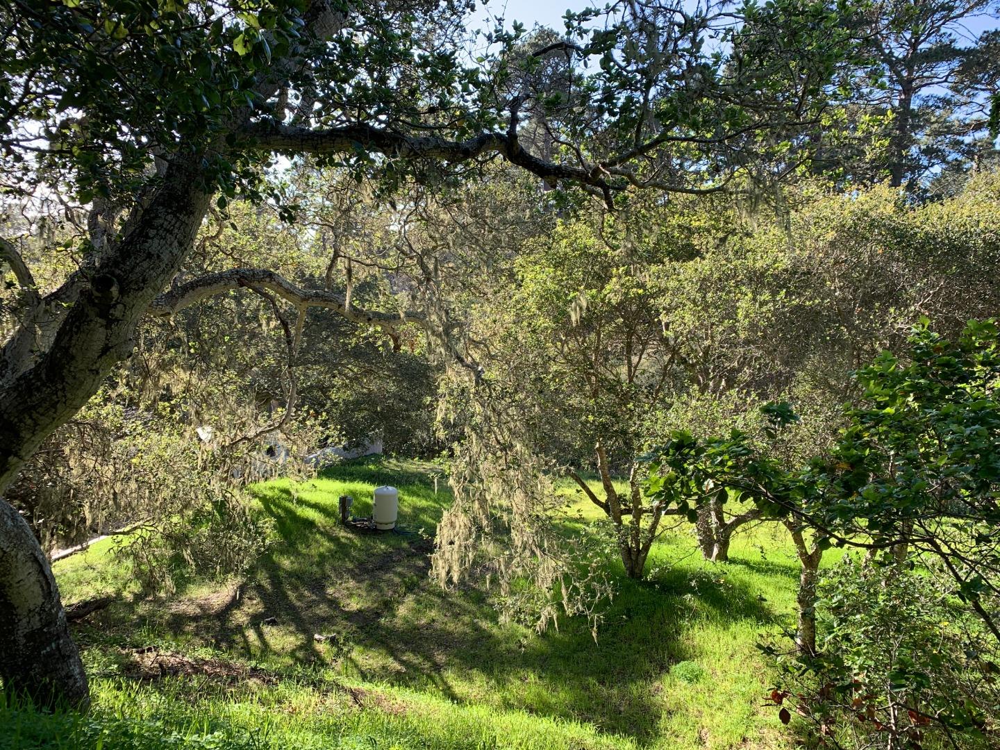 25498 Hatton Road, CARMEL, California 93923, ,Lots And Land,For Sale,Hatton Road,40963972