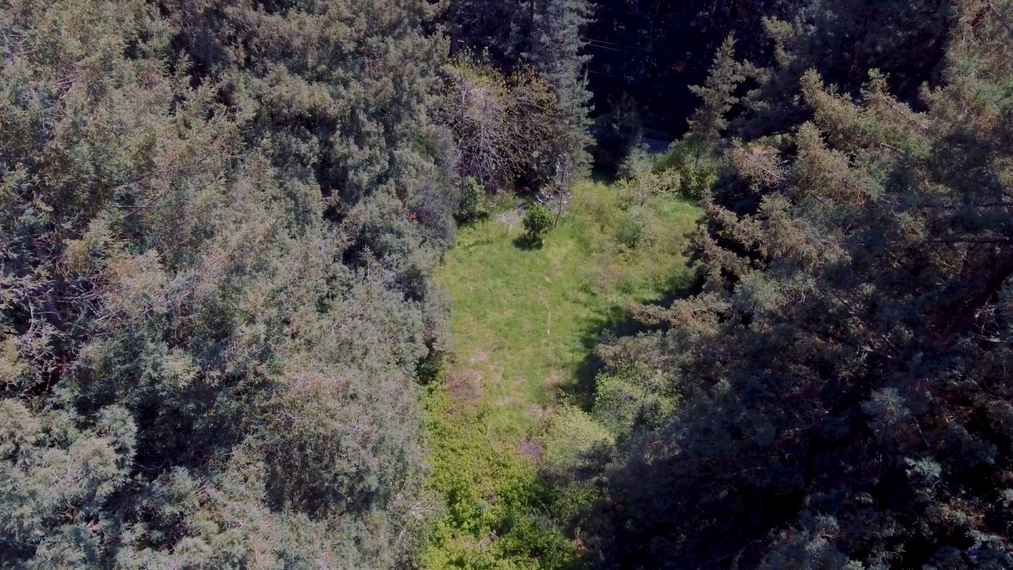 6121 Fern Flat Road Aptos Ca 95003 794 000 Www Kathysdavis Com