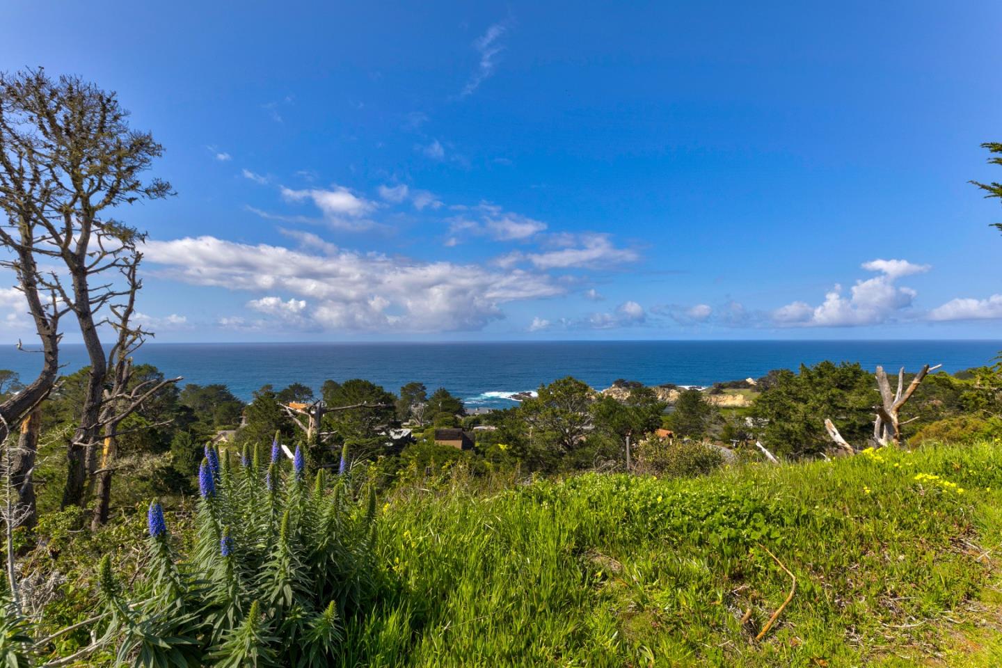0 San Remo Road, CARMEL, California 93923, ,Lots And Land,For Sale,San Remo Road,40963799