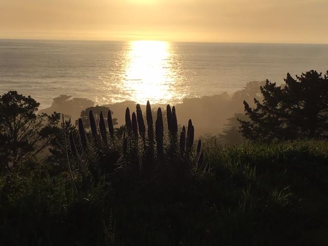 0 San Remo Road, CARMEL, California 93923, ,Lots And Land,For Sale,San Remo Road,40963799