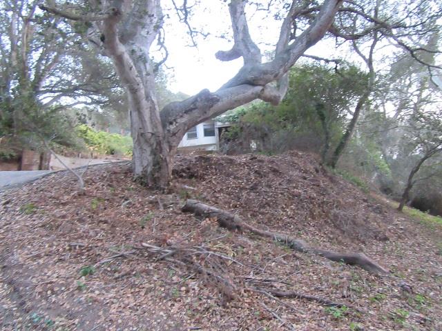 9047 Prunedale South Road, SALINAS, California 93907, ,Comm Lots And Land,For Sale,Prunedale South Road,40962365