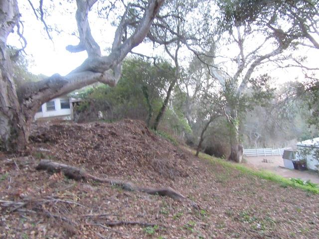 9047 Prunedale South Road, SALINAS, California 93907, ,Comm Lots And Land,For Sale,Prunedale South Road,40962365