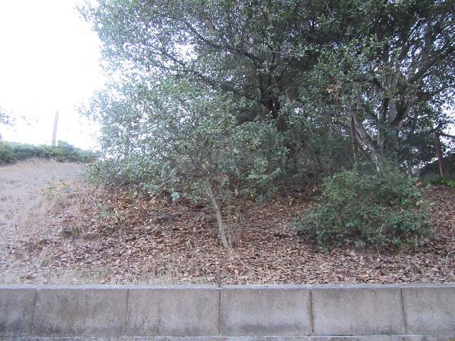 9047 Prunedale South Road, SALINAS, California 93907, ,Comm Lots And Land,For Sale,Prunedale South Road,40962365