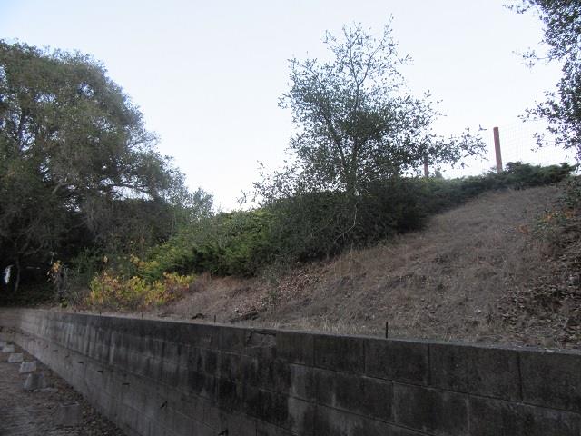 9047 Prunedale South Road, SALINAS, California 93907, ,Comm Lots And Land,For Sale,Prunedale South Road,40962365