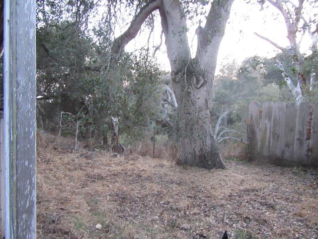 9047 Prunedale South Road, SALINAS, California 93907, ,Comm Lots And Land,For Sale,Prunedale South Road,40962365